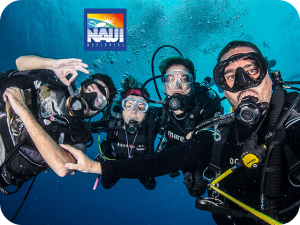 naui diving training service kuwait alboom marine