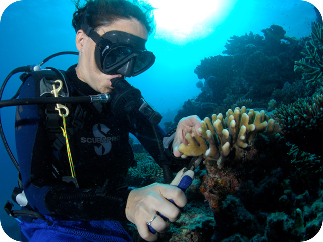underwater ecologist kuwait